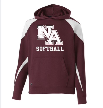 Adult Unisex New Albany Softball Vintage Vibe Logo Graphic Holloway Colorblock Fleece Hoodie