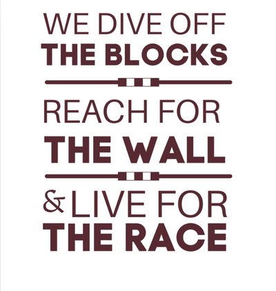 CUSTOMIZED Choose your Swim and Dive Graphic Heavyweight Beach Towel