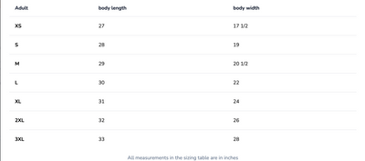 Adult Unisex Classic Logo Softball Graphic Short Sleeve Ringer Tee