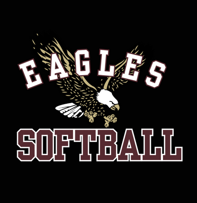 CUSTOMIZED Choose your Graphic Picnic and Stadium Blanket - SOFTBALL