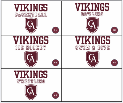 Youth Choose your Graphic Hoodie with Customized Back - Columbus Academy Winter Sports