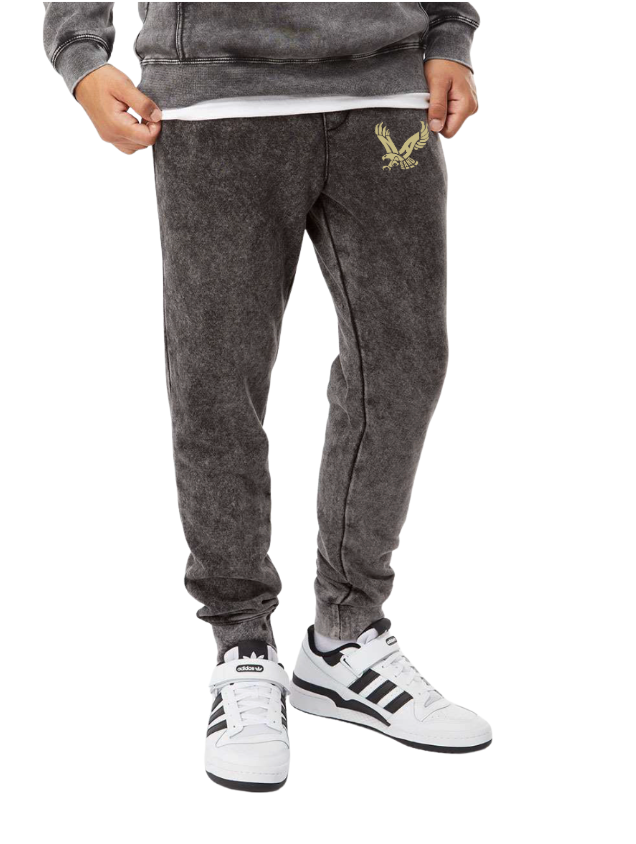 Adult Unisex NAHS Band Eagle Logo Graphic Mineral Wash Jogger