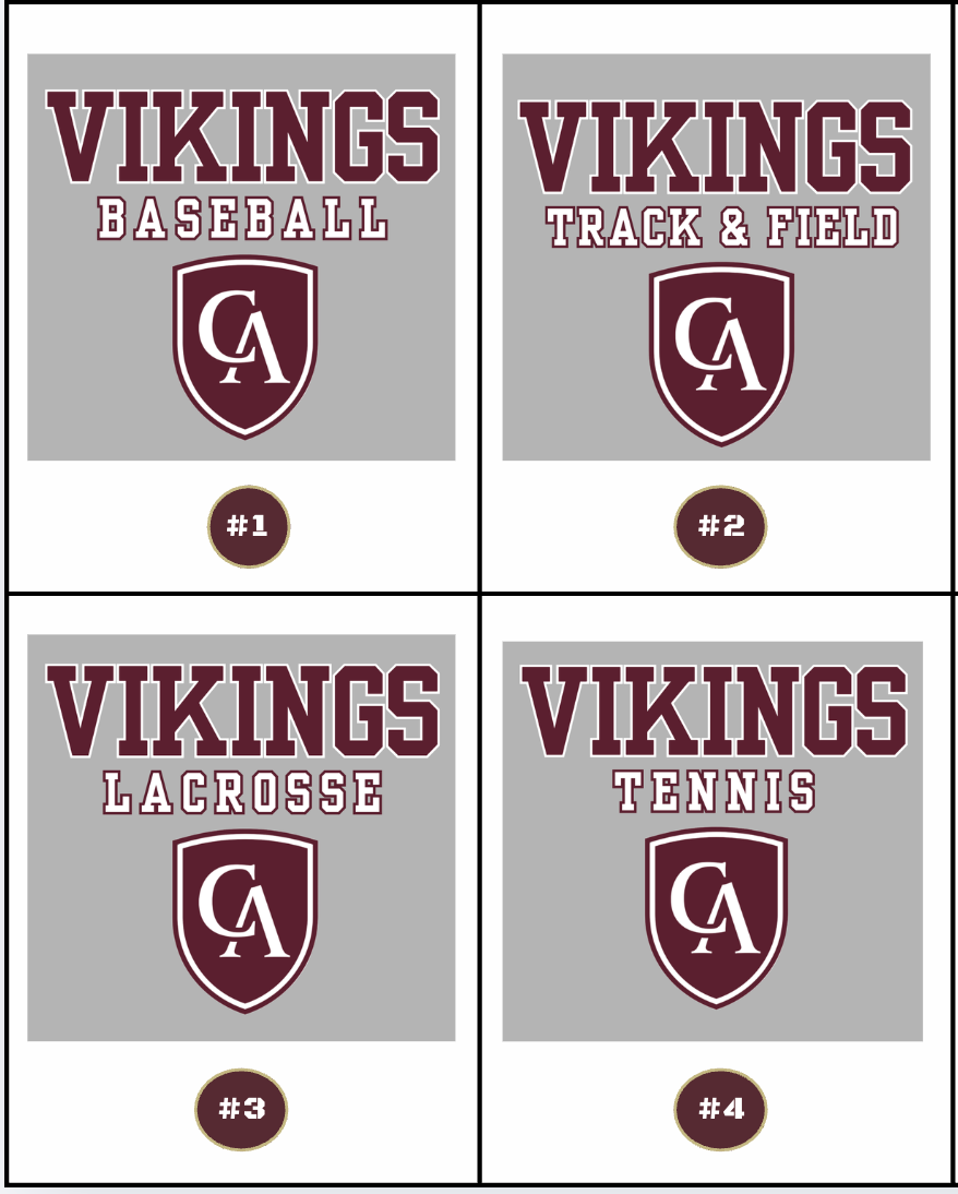 Adult Unisex Choose your Graphic Hoodie with Customized Back - Columbus Academy Spring Sports