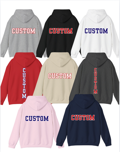 Adult Unisex Choose your Graphic Hoodie with Customized Back - Stingers Softball