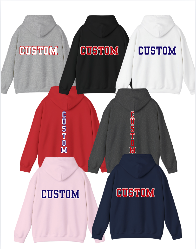 Youth Choose your Graphic Hoodie with Customized Back - Stingers Softball