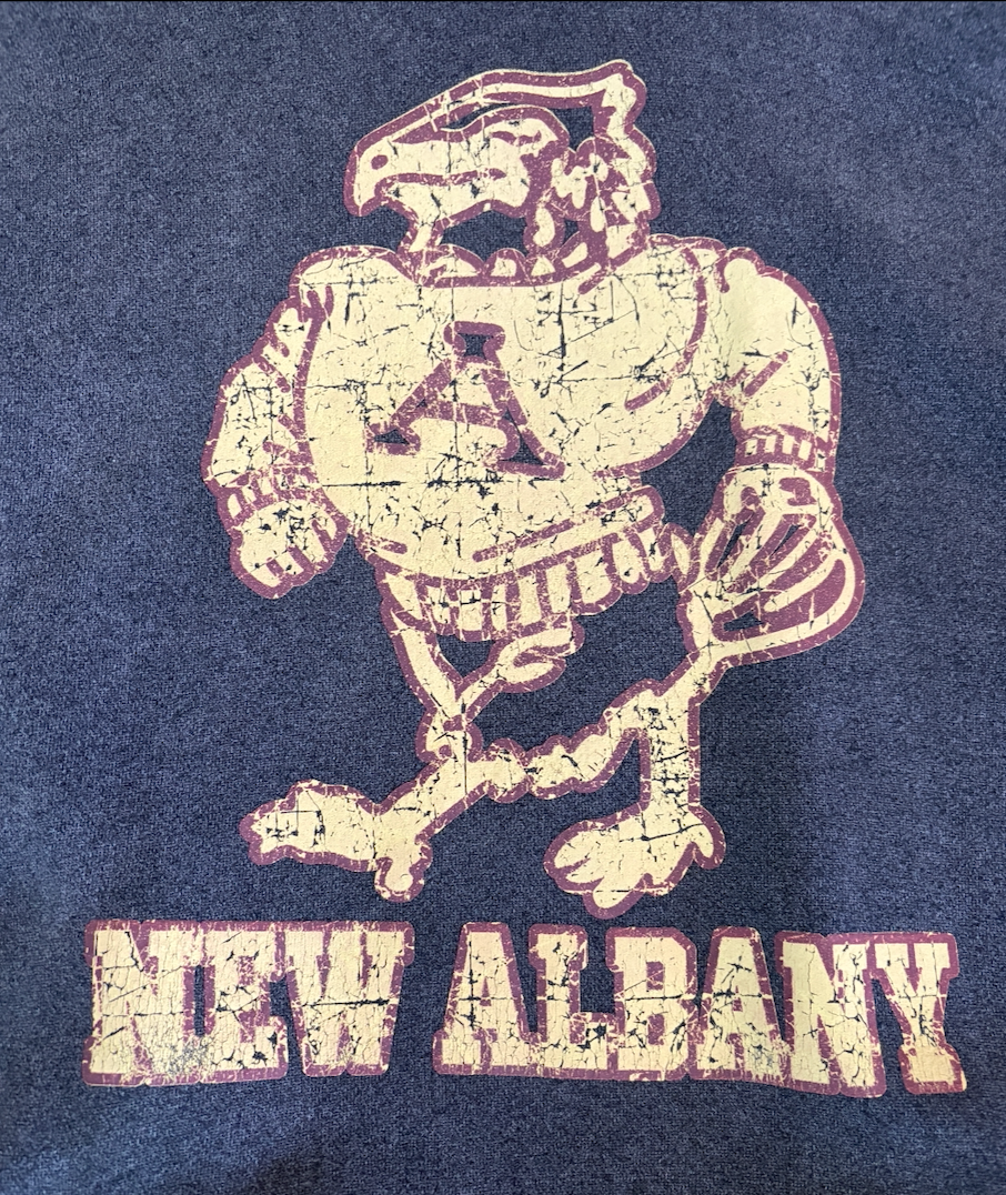 Adult Unisex New Albany Official Historic Distressed Eagle Mascot Graphic Vintage Washed Hoodie