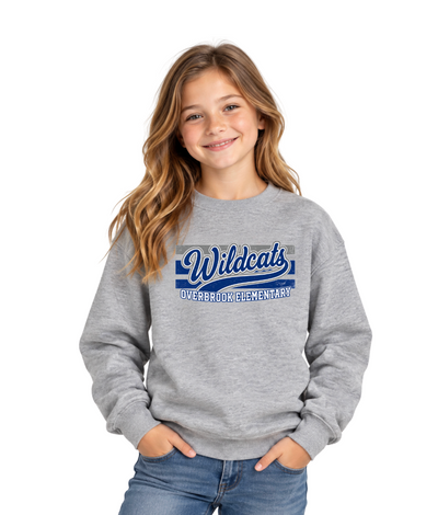 Youth Overbrook Elementary Wildcats Vintage Distressed Spirit Graphic Sweatshirt